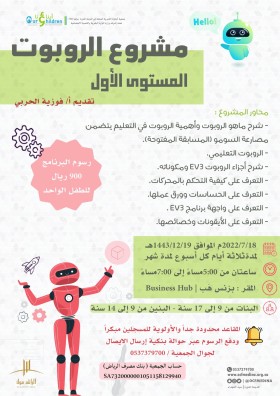 مشروع الروبوت المستوى الأول